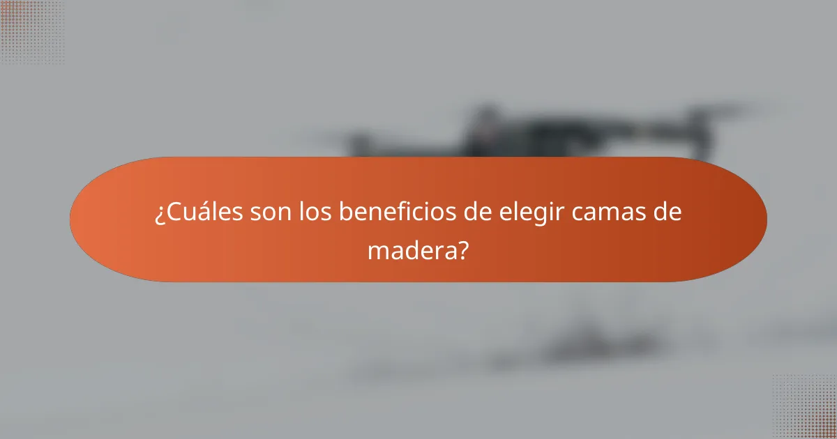 ¿Cuáles son los beneficios de elegir camas de madera?