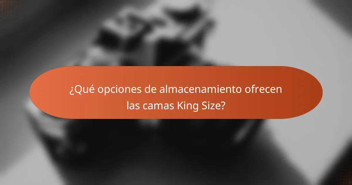 ¿Qué opciones de almacenamiento ofrecen las camas King Size?