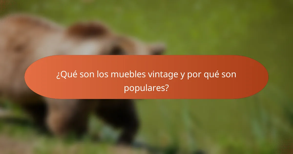 ¿Qué son los muebles vintage y por qué son populares?